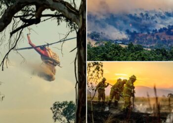 Human remains found during Australia’s raging bushfires