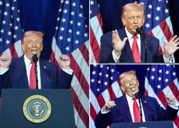 Trump imitates trans weightlifter breezing through reps: ‘It’s crazy’