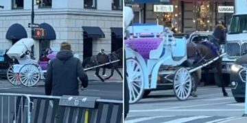 Wild video shows spooked NYC carriage horse running into Midtown traffic: ‘Reckless endangerment’