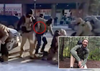 Chaotic moment federal officer reached for gun revealed in close-up analysis of Minneapolis armed anti-ICE protester shooting