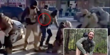 Chaotic moment federal officer reached for gun revealed in close-up analysis of Minneapolis armed anti-ICE protester shooting