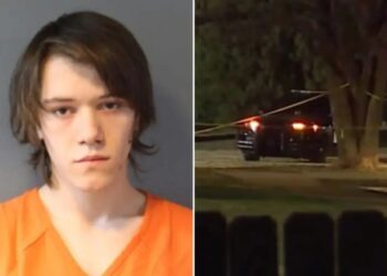 Brother killed after teen becomes ‘enraged’ over video game, stabs sibling: police