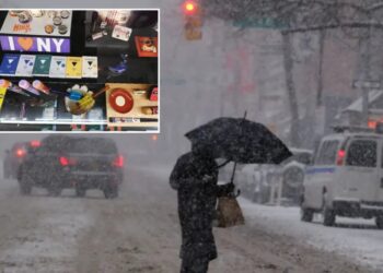 Bread, eggs, milk— and weed! Potheads swarm cannabis shops to prep for blizzard