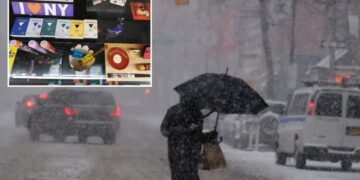 Bread, eggs, milk— and weed! Potheads swarm cannabis shops to prep for blizzard