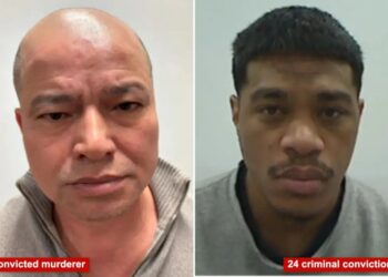 ‘Worst of the worst’ illegal migrants busted by ICE in Minneapolis include murderer, man with 24 convictions