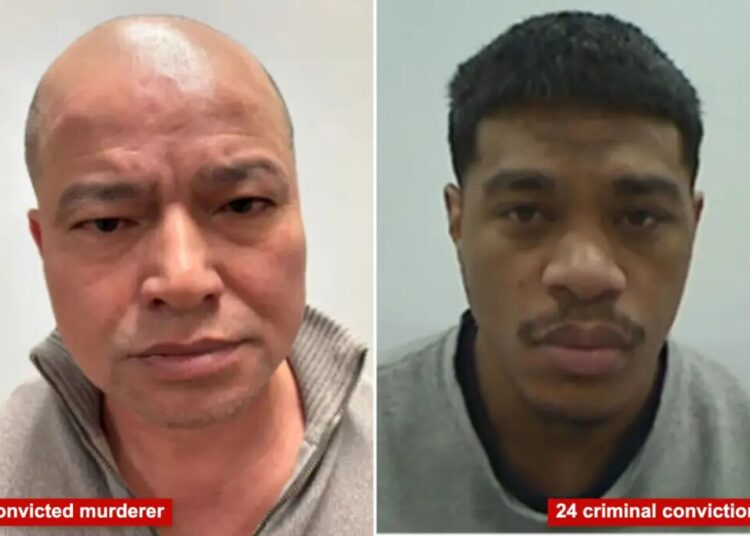 ‘Worst of the worst’ illegal migrants busted by ICE in Minneapolis include murderer, man with 24 convictions