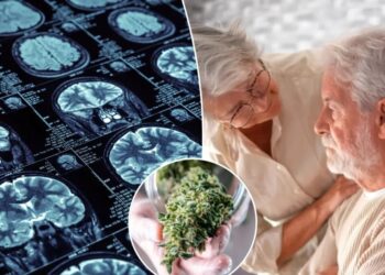 High hopes: THC may help protect against Alzheimer’s — if it’s paired with this common drug
