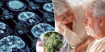High hopes: THC may help protect against Alzheimer’s — if it’s paired with this common drug