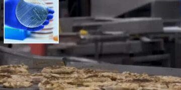 Listeria scare triggers massive recall of nearly 7 tons of ready-to-eat chicken in several states