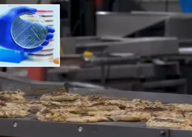 Listeria scare triggers massive recall of nearly 7 tons of ready-to-eat chicken in several states