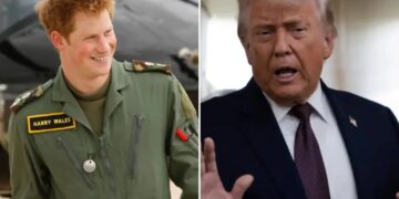 Prince Harry fires back at Trump over NATO criticism: ‘I lost friends’ in Afghanistan