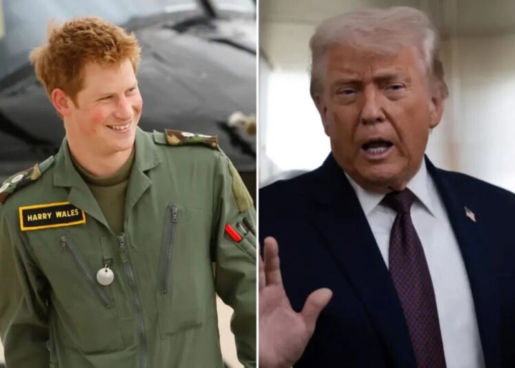 Prince Harry fires back at Trump over NATO criticism: ‘I lost friends’ in Afghanistan