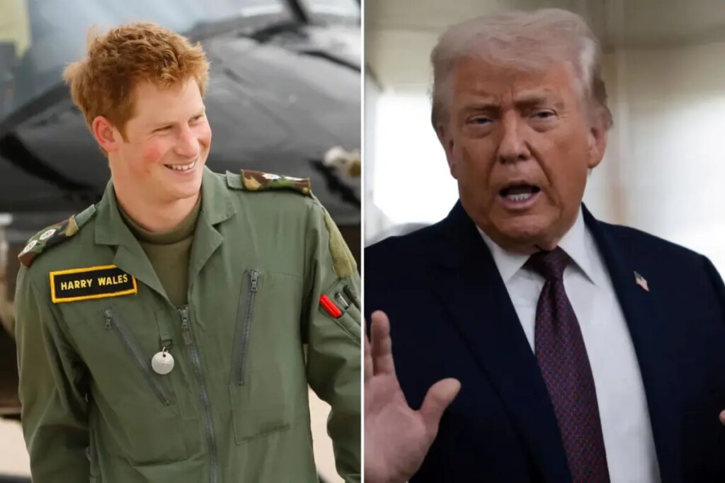 Prince Harry fires back at Trump over NATO criticism: ‘I lost friends’ in Afghanistan