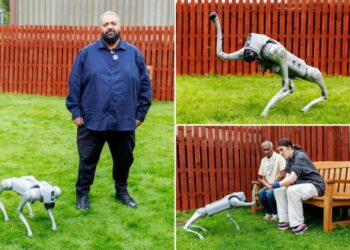 ‘Lifelike’ robot therapy dog named Snoop helps people with disabilities