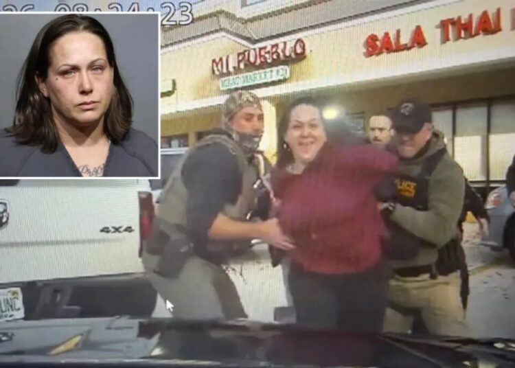 Grinning anti-ICE agitator arrested after allegedly punching Florida trooper as DeSantis warns: ‘This is not Minneapolis’