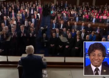 Democrat Rep. Shri Thanedar slammed for staying seated during Trump speech honoring victims’ families