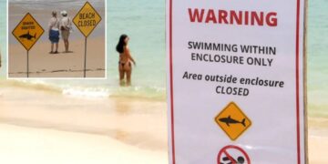 Surfer bitten in 4th shark attack off Australia’s east coast in 3 days