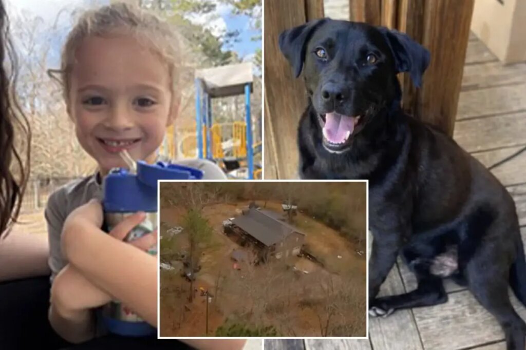 Florida boy Johnathan Boley found dead after he went missing with his dog in Alabama on New Year’s Eve