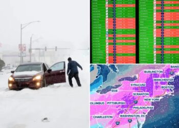 Historic Winter Storm Fern causes nearly 230K power outages, cancels thousands of flights as millions hunker down nationwide