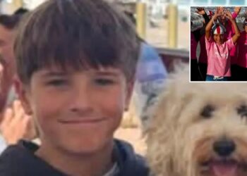 Australian boy, 12, dies following shark attack while swimming at popular cliff-jumping spot