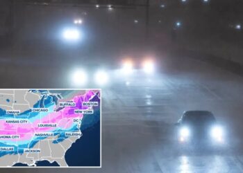 Trump says FEMA is ‘fully prepared’ for Winter Storm Fern as over 9,000 flights are canceled