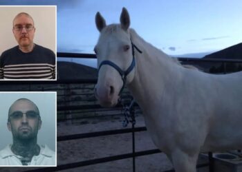 Washington gang member sacrificed horse in bizarre ritual so murdered pal could ‘ride it into the Valhalla’