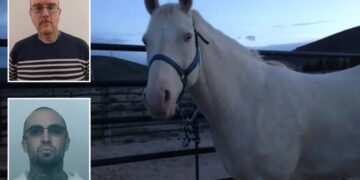 Washington gang member sacrificed horse in bizarre ritual so murdered pal could ‘ride it into the Valhalla’