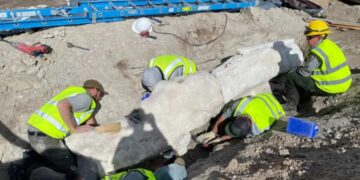 Dinosaur fossils unearthed during parking lot construction at Utah national park