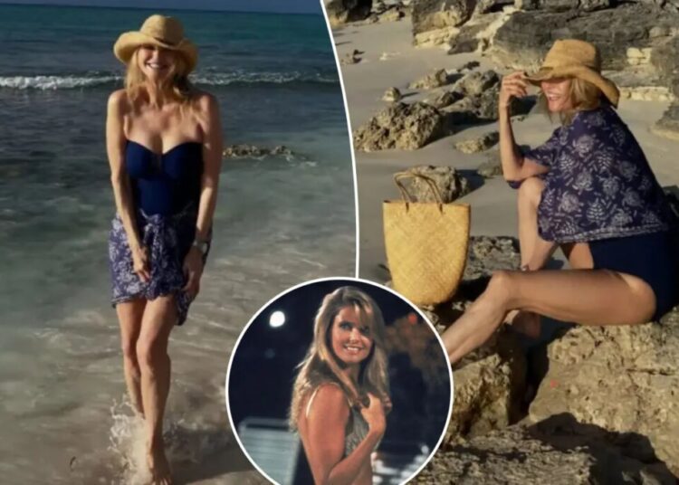 Christie Brinkley stuns in navy swimsuit during tropical getaway