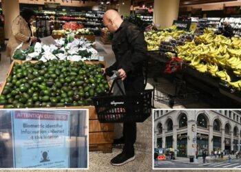NYC Wegmans’ storing shoppers’ facial scans and biometric data to ID customers, boost security: ‘We understand concerns’