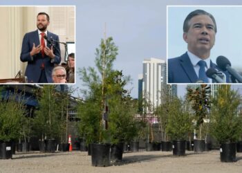 San Francisco legislator ignores crime, asks for state investigation into trees