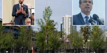 San Francisco legislator ignores crime, asks for state investigation into trees