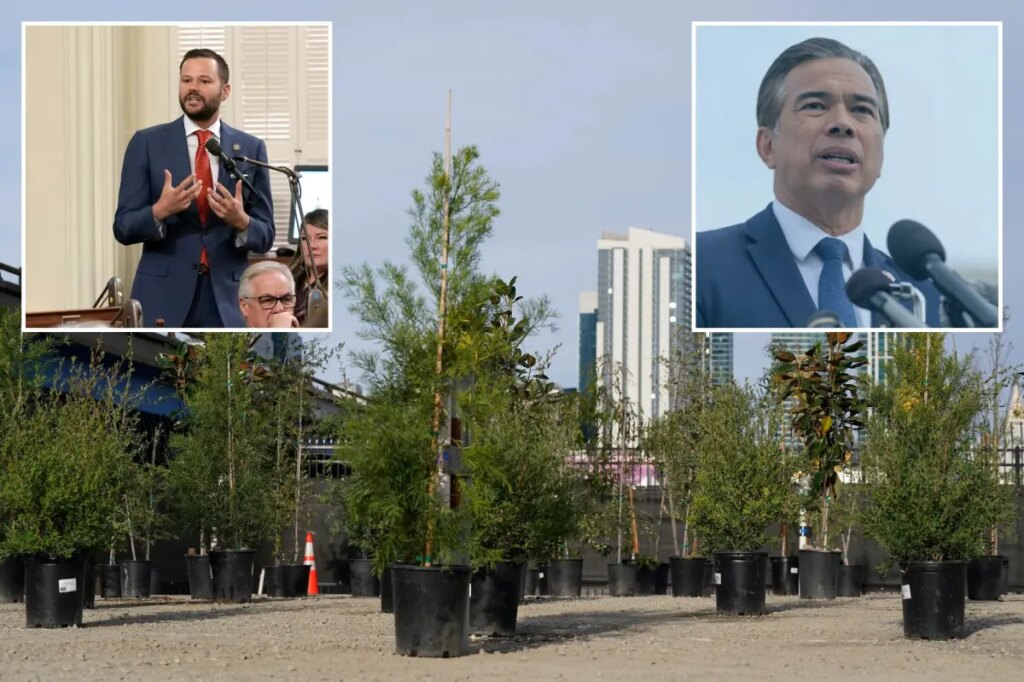 San Francisco legislator ignores crime, asks for state investigation into trees