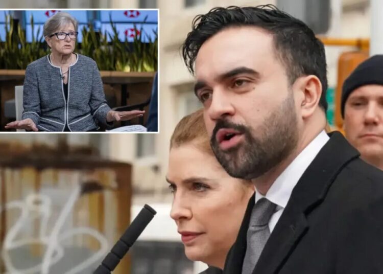 Zohran Mamdani’s team treating NYC businesses as ‘the enemy’ in early goings, top leader says