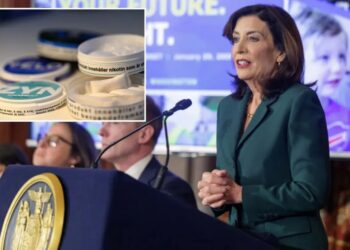 Hochul pushes new NYS tax on ZYN, nicotine products but critics are fuming