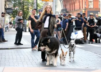 Fury over Jennifer Lawrence’s dog  reveals a culture that puts kids last