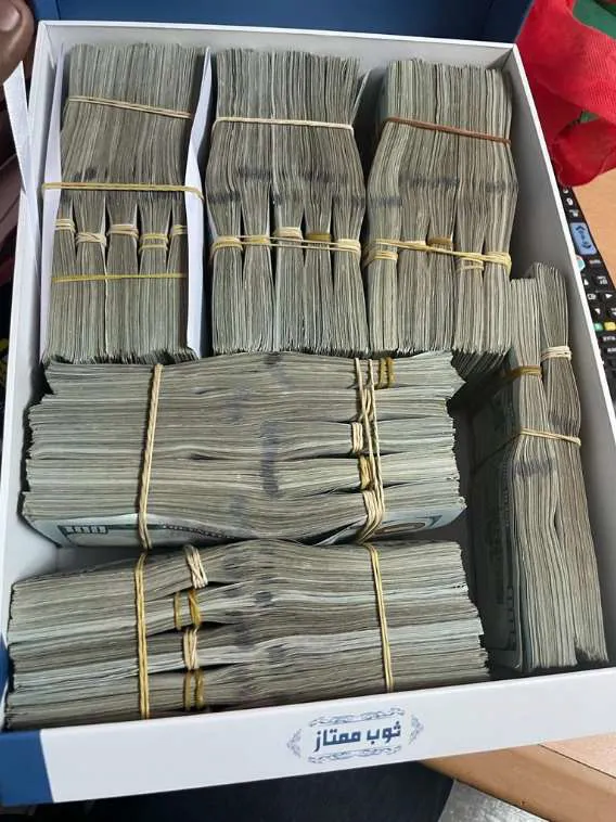Stacks of US dollar bills in a box.