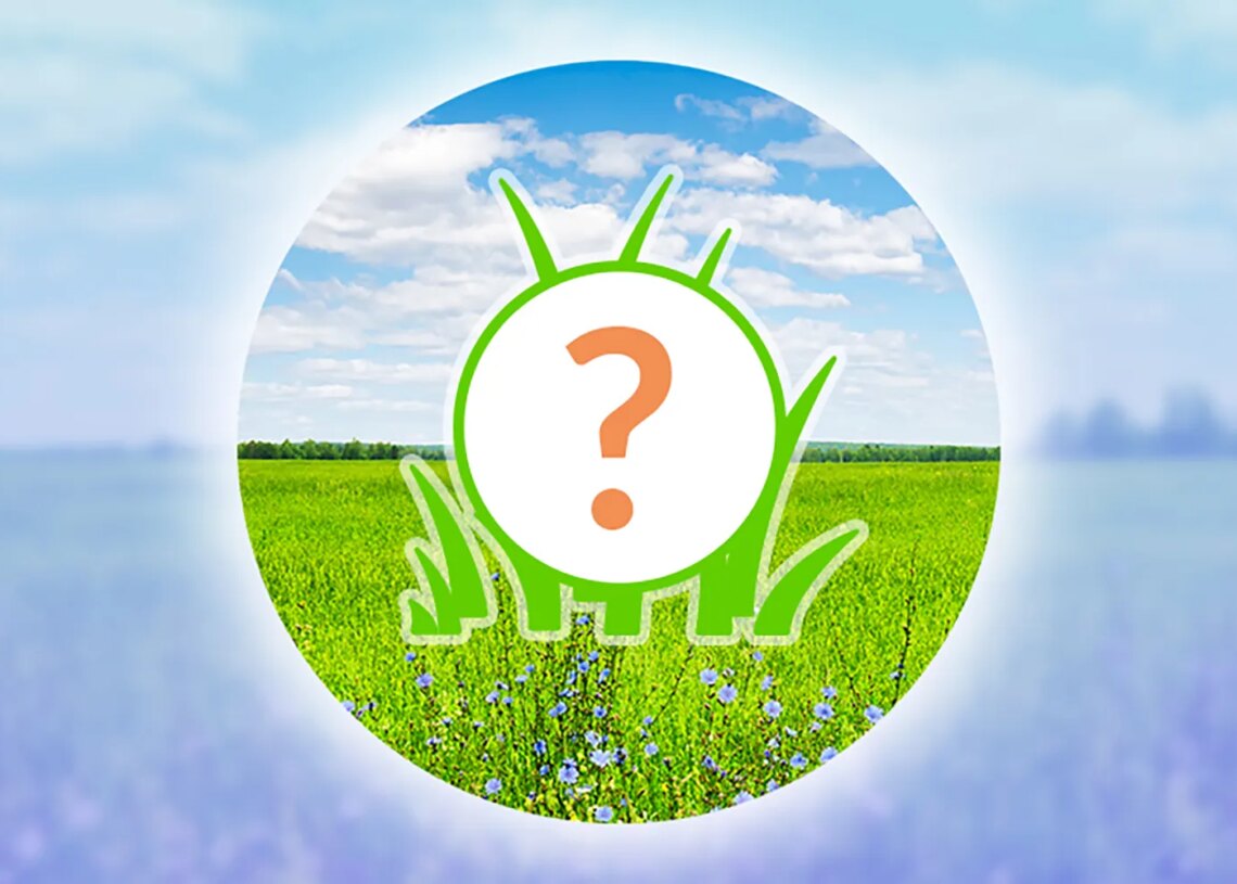 Pokémon GO: Barboach Spotlight Hour January 2026 Guide