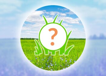 Pokémon GO: Barboach Spotlight Hour January 2026 Guide