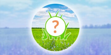 Pokémon GO: Barboach Spotlight Hour January 2026 Guide