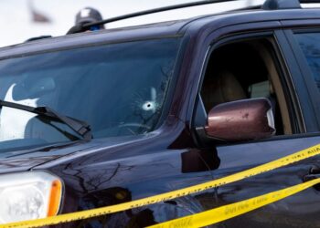 GoFundMe Ignores Own Rules by Hosting a Legal-Defense Fund for the ICE Agent Who Killed Renee Good