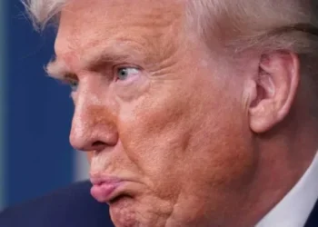 Analyst taken aback as Trump admits ‘he has a problem’ with ICE: ‘Biggest tell to date’