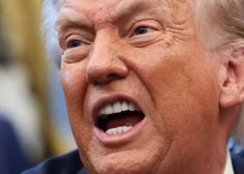 ‘We didn’t really vote for that’: Shocking poll results call Trump’s first year ‘failure’