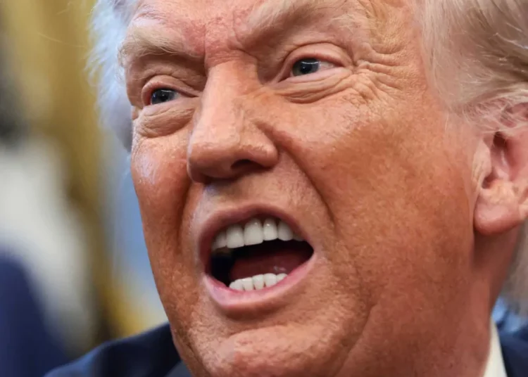 ‘We didn’t really vote for that’: Shocking poll results call Trump’s first year ‘failure’