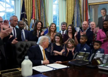 MS NOW panel cracks up as Trump admin plays dumb on its own move: ‘It’s just laughable’