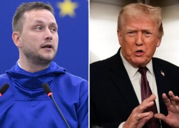 Greenland calls on NATO for protection from possible US invasion