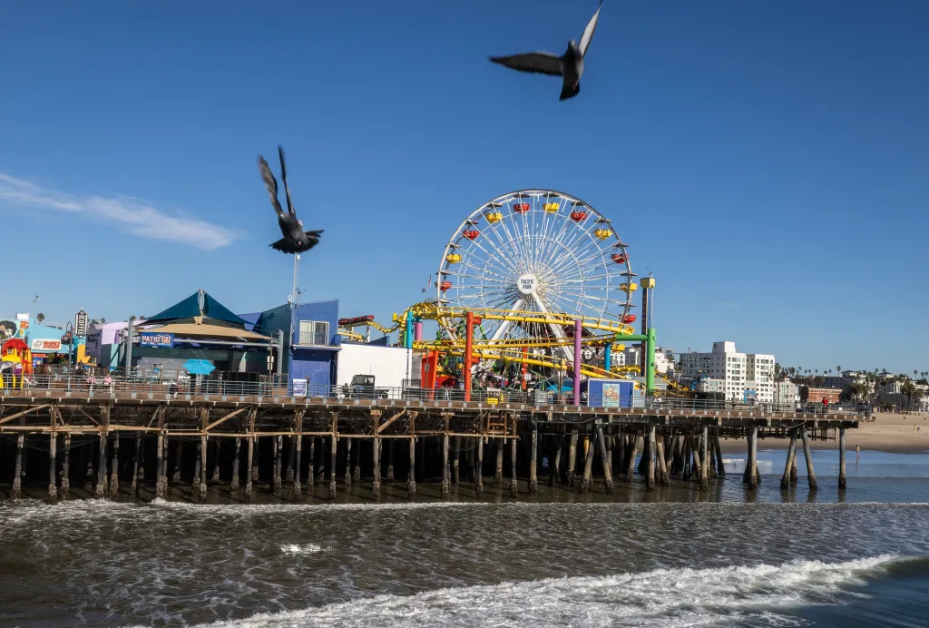 Two birds fly in the foreground above the Santa Monica Pier, which features a Ferris wheel and roller coaster.