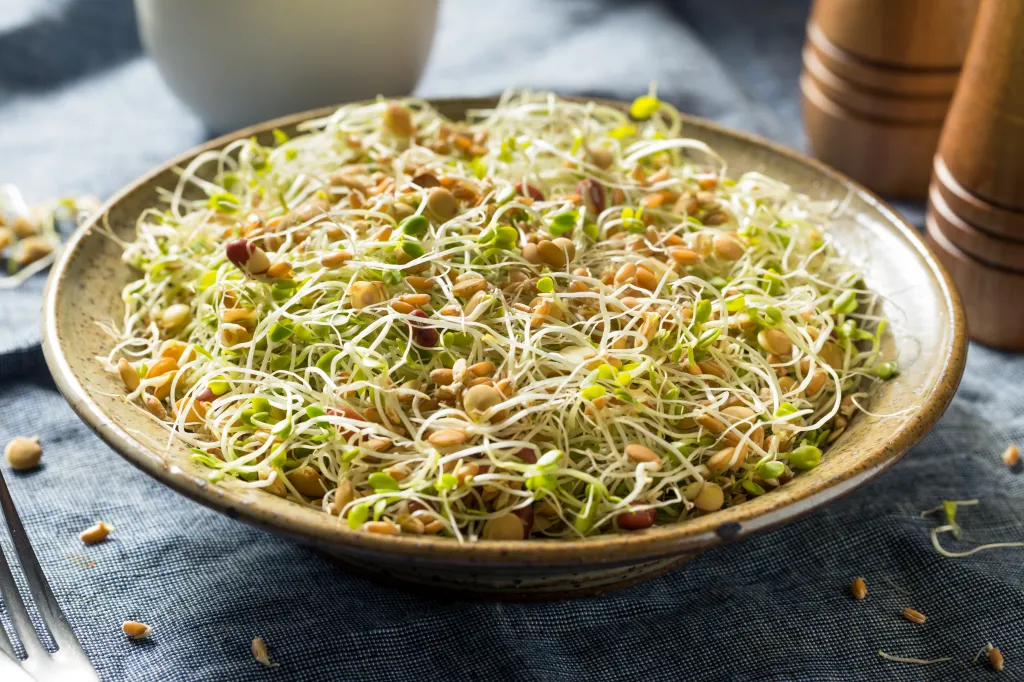 Raw organic bean sprout salad with lentils in a bowl.
