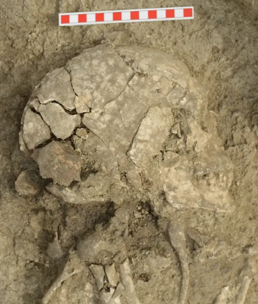 Fragmented skull and bones of a young man, 6,000 years old, unearthed in Bulgaria.