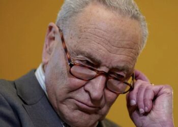 Senate Dems cut last-minute deal to avert shutdown with DHS funding Band-Aid